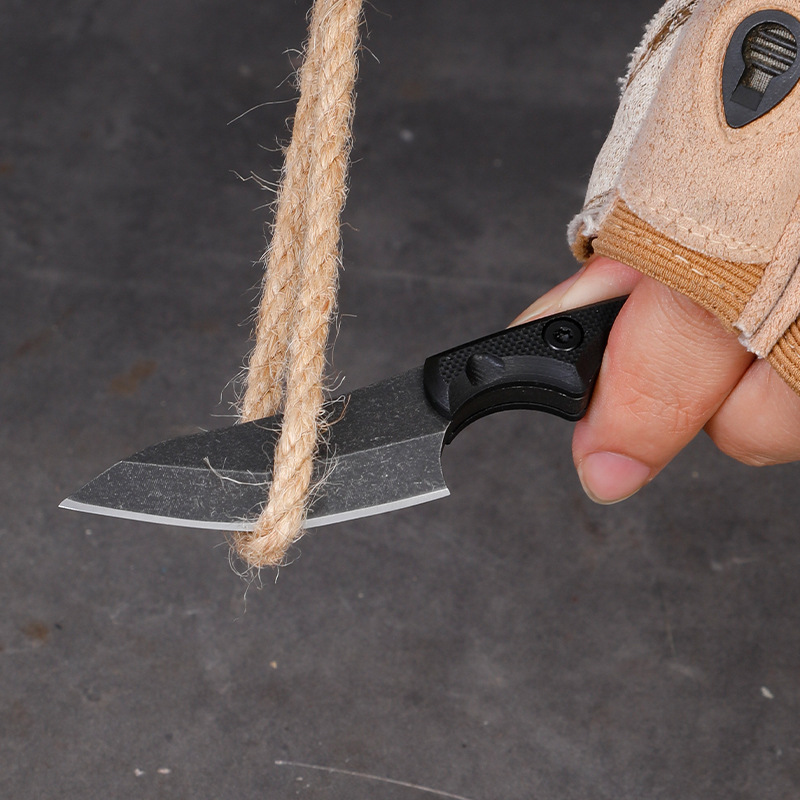 5CR15 Stainless Steel Small Fi - Edc Carry Fixed Blade Knife review and price